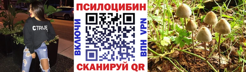 где можно купить наркотик  Вихоревка  Галлюциногенные грибы мухоморы 